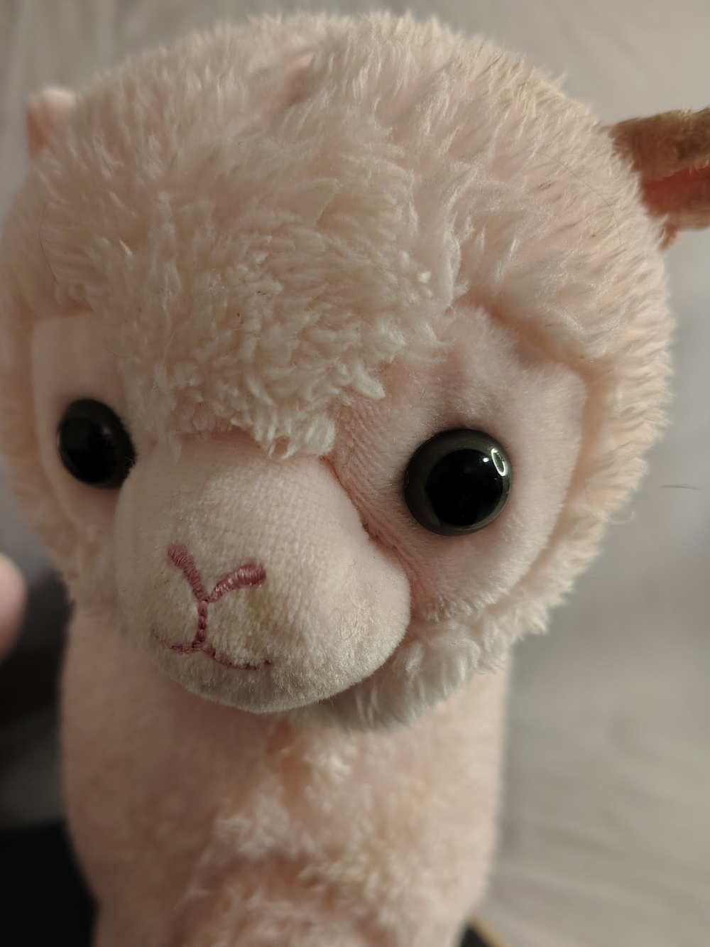 Kellytoy Pale Pink Alpaca Plush - Soft Blush Cuddly Toy